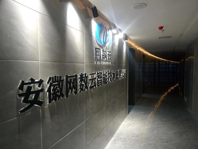 安徽網數云智能技術
